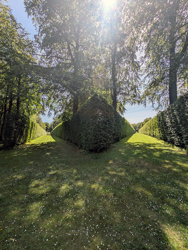 Hedge trimming Harrogate