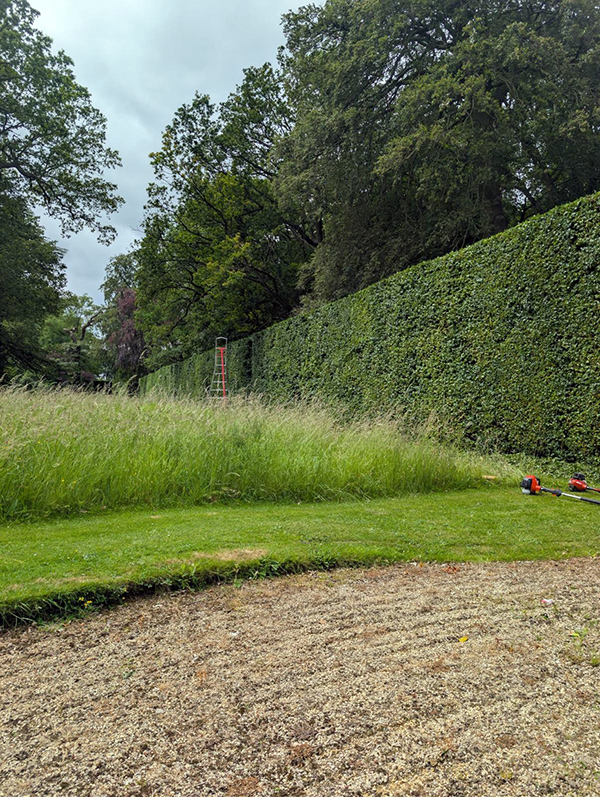 Hedging company Harrogate