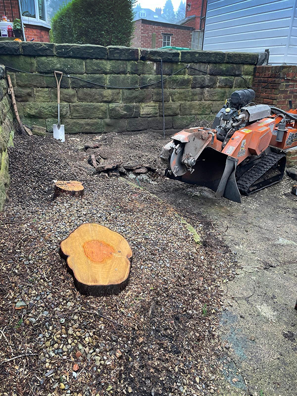 Stump grinding Harrogate